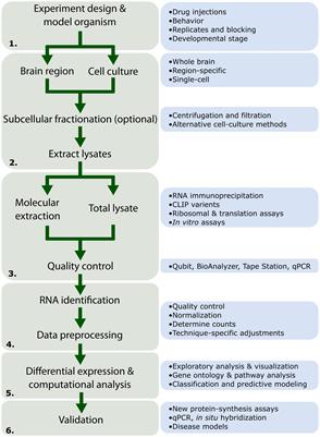 Frontiers | Screening the Molecular Framework Underlying Local 